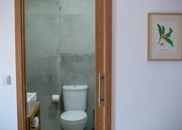 Casa Dos Junqueiros - Countryside Vakantiehuis Caldas Da Rainha